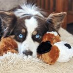 Snuggle Puppy Heartbeat Stuffed Toy for Dogs - Pet Anxiety Relief and Calming Aid - Brown and White